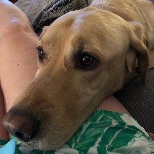 Meet your Posher, Haydee